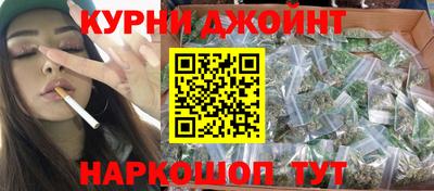 сатива Аргун