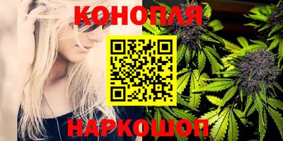 сатива Аргун