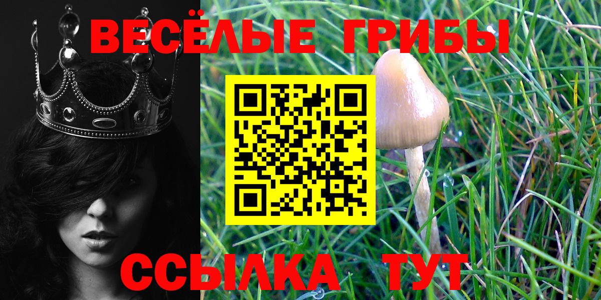 Псилоцибиновые грибы Psilocybe  Вход с VPN  Волгоград 