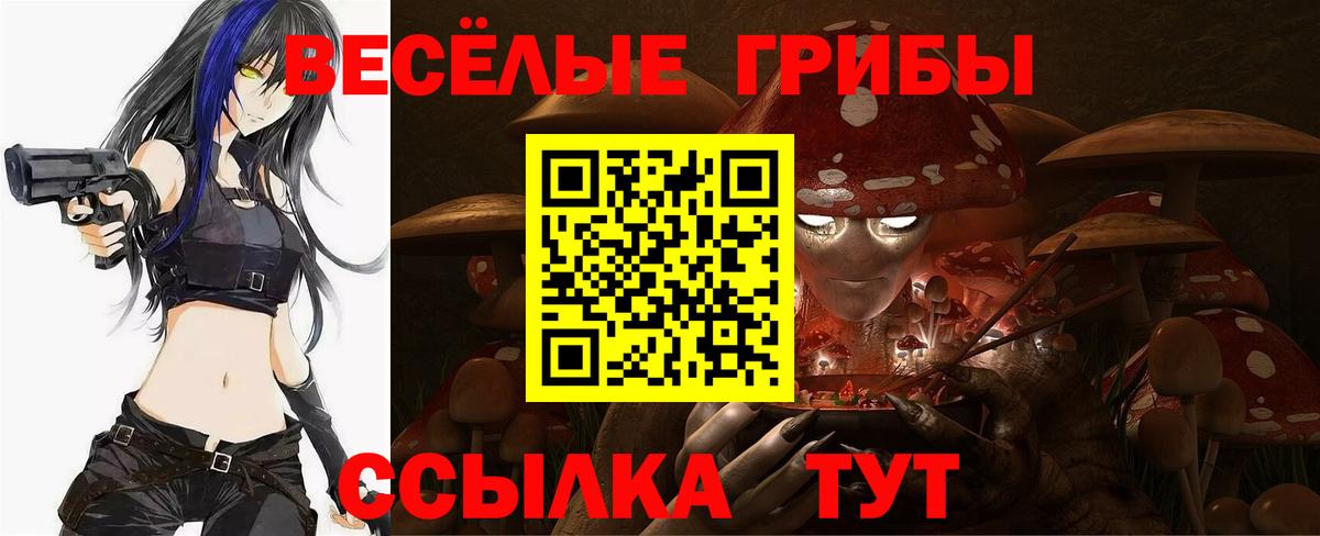 Галлюциногенные грибы мухоморы Волгоград
